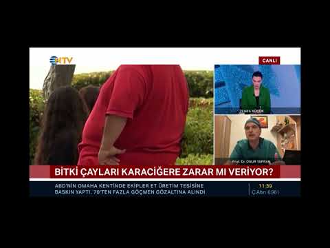 Zayıflamak İçin Kullanılan Bitki Çaylarının Karaciğere Olası Zararları